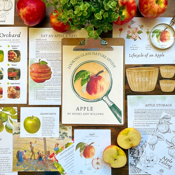 Apple Looking Glass Nature Study