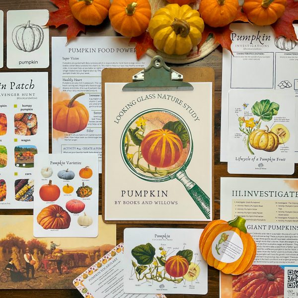 Pumpkin Looking Glass Nature Study