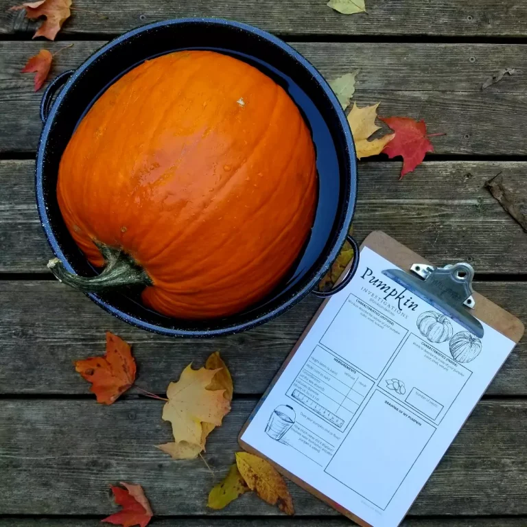 FREE Pumpkin Investigation [Free Printable]