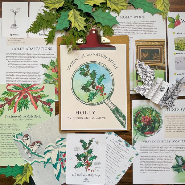 Holly Nature Study