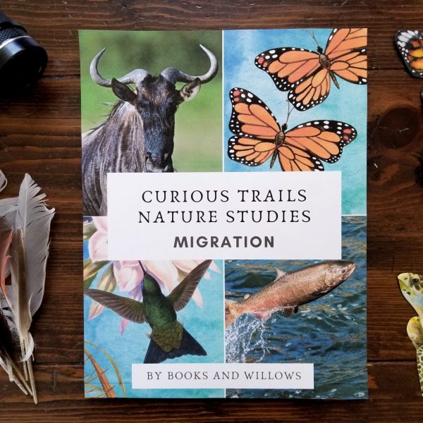 Migration nature study