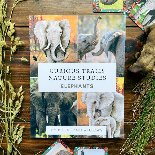 Elephant Unit - Curious Trails Nature Study