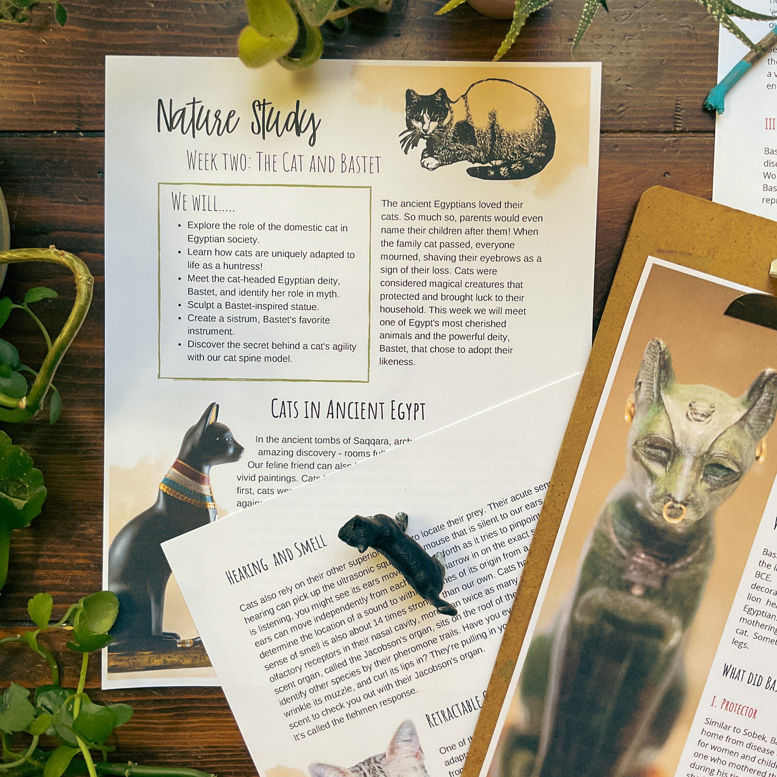 Egyptian Mythology Unit - Curious Trails Nature Study - Image 5