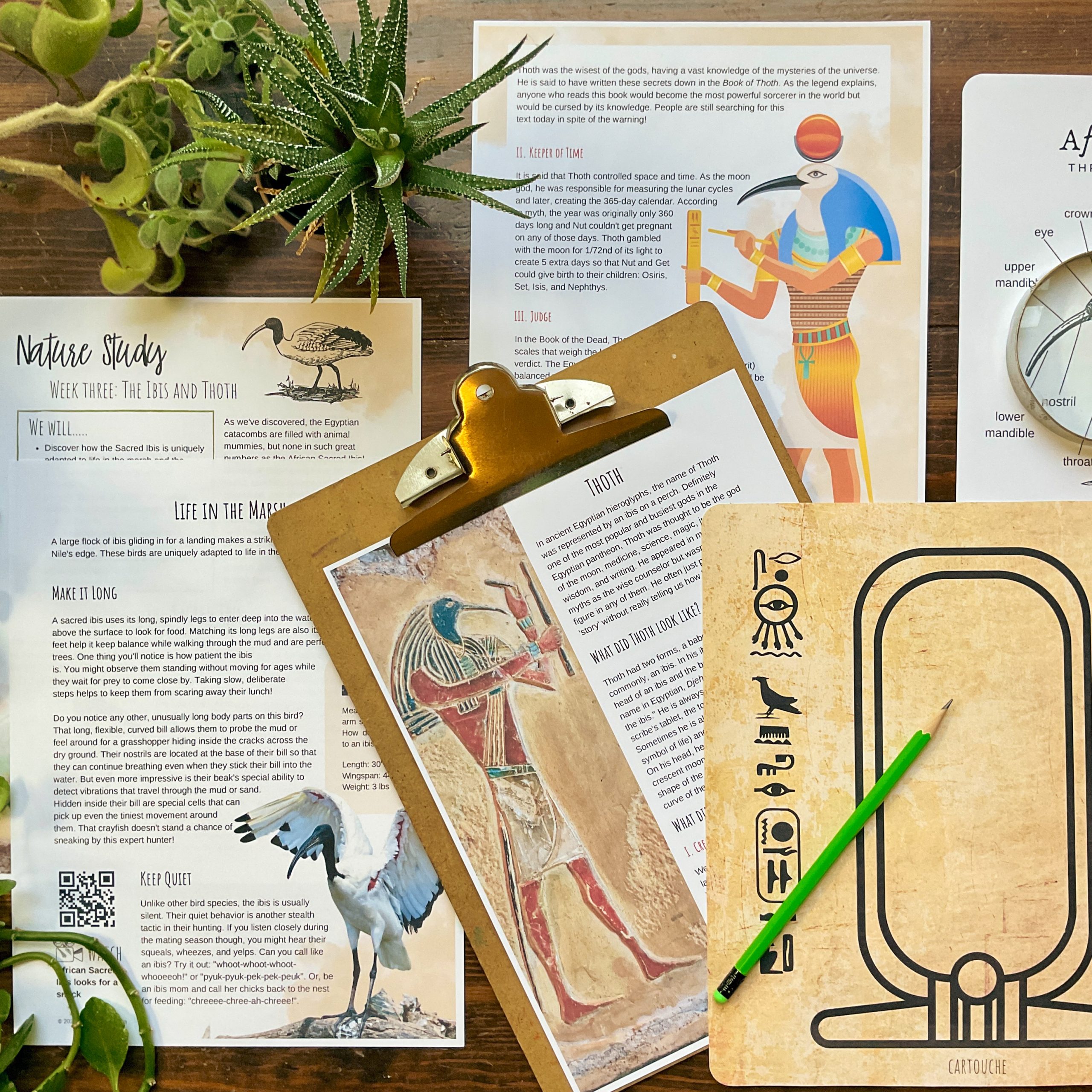 Egyptian Mythology Unit - Curious Trails Nature Study - Image 7