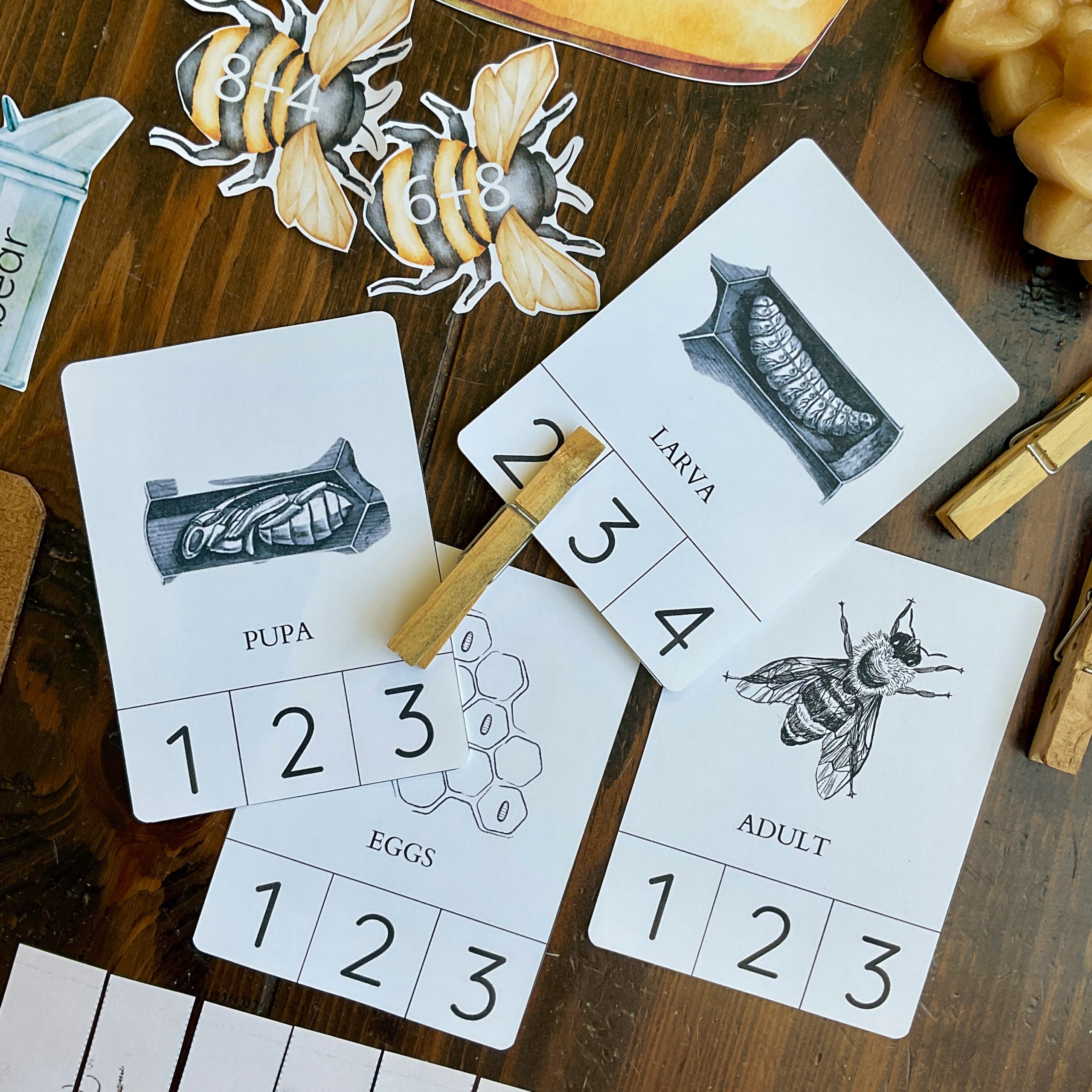 Honey Bee Early Learning Unit - Image 5