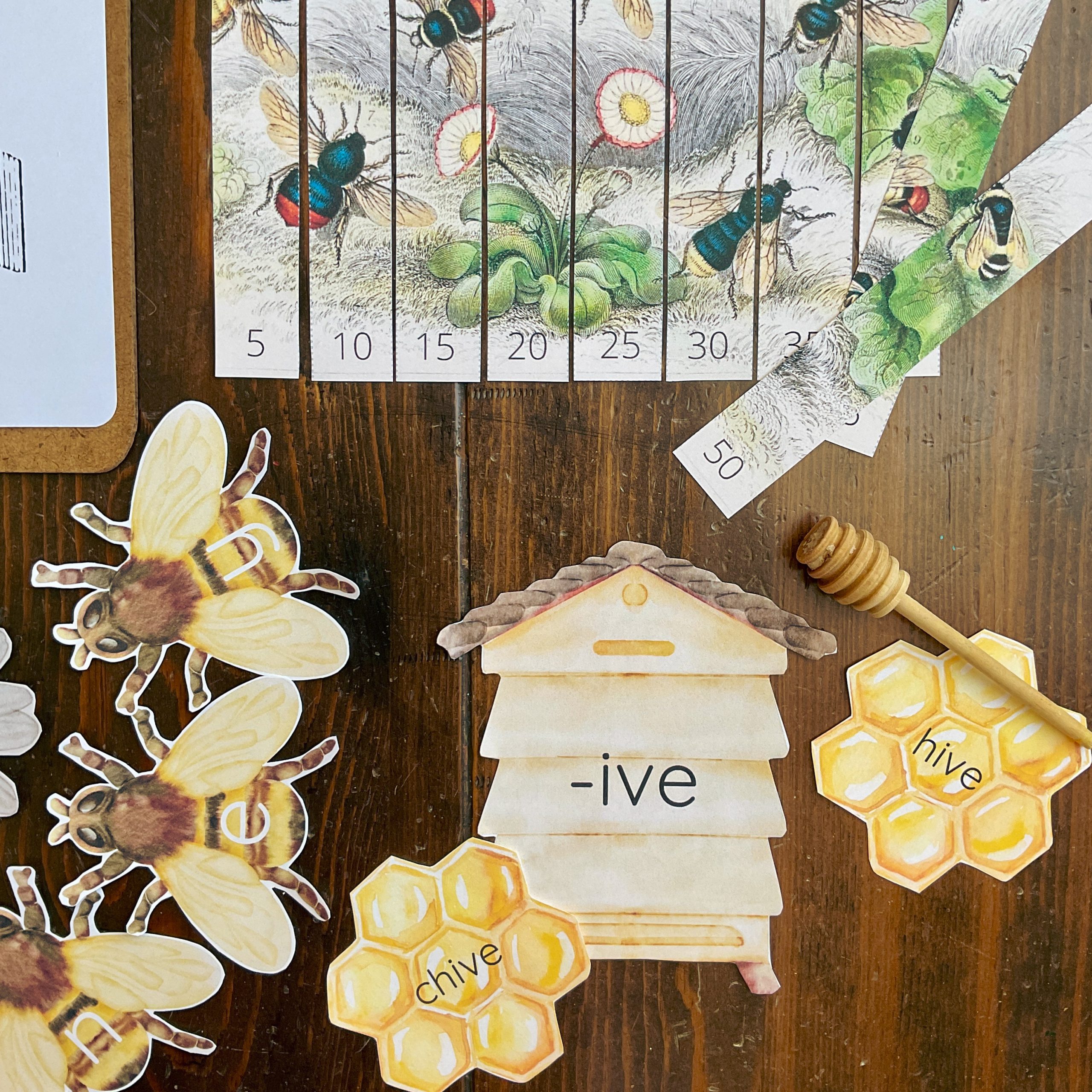 Honey Bee Early Learning Unit - Image 6