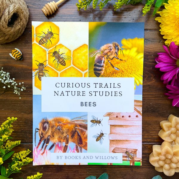 Bee Unit - Curious Trails Nature Study