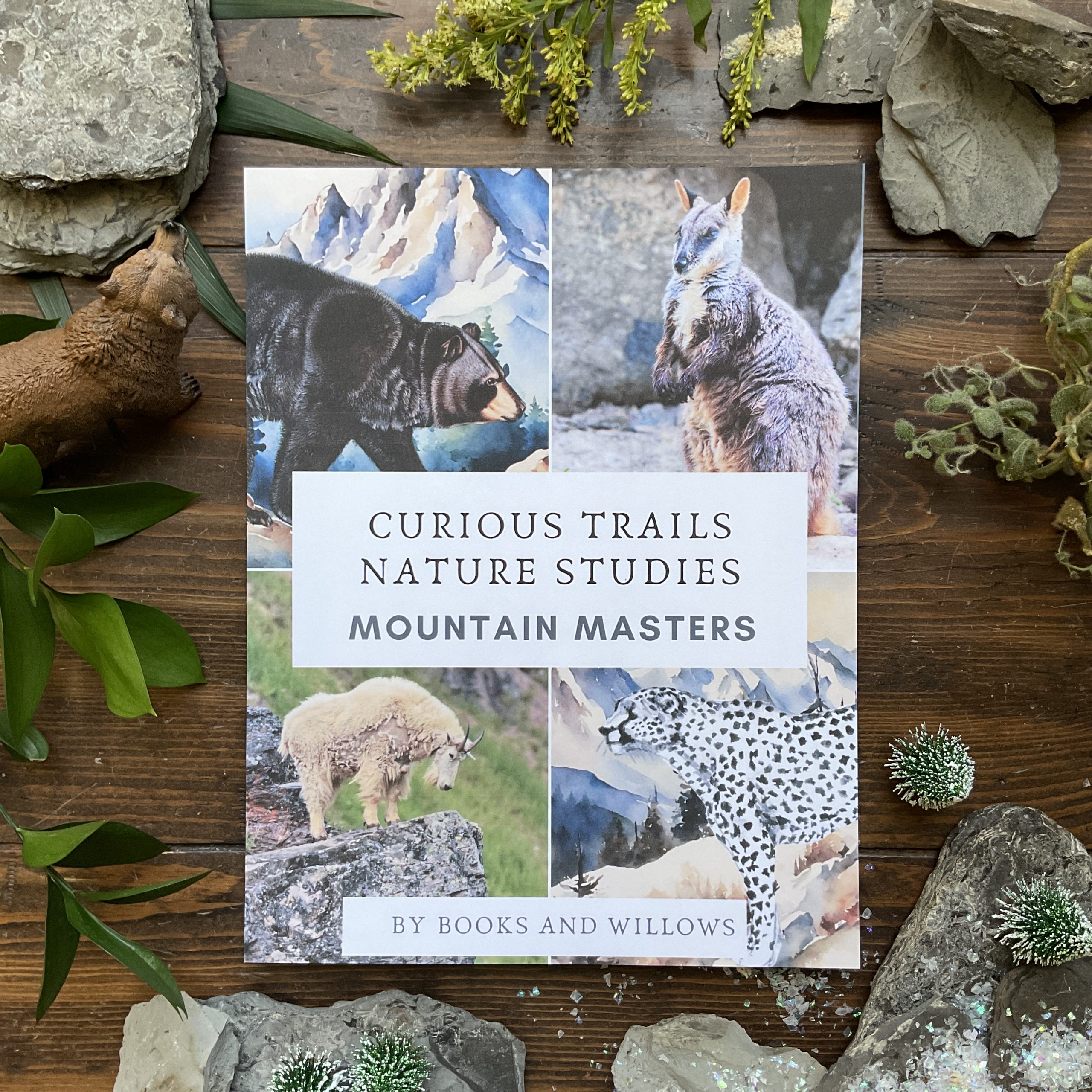 Mountain Animal Unit - Curious Trails Nature Study