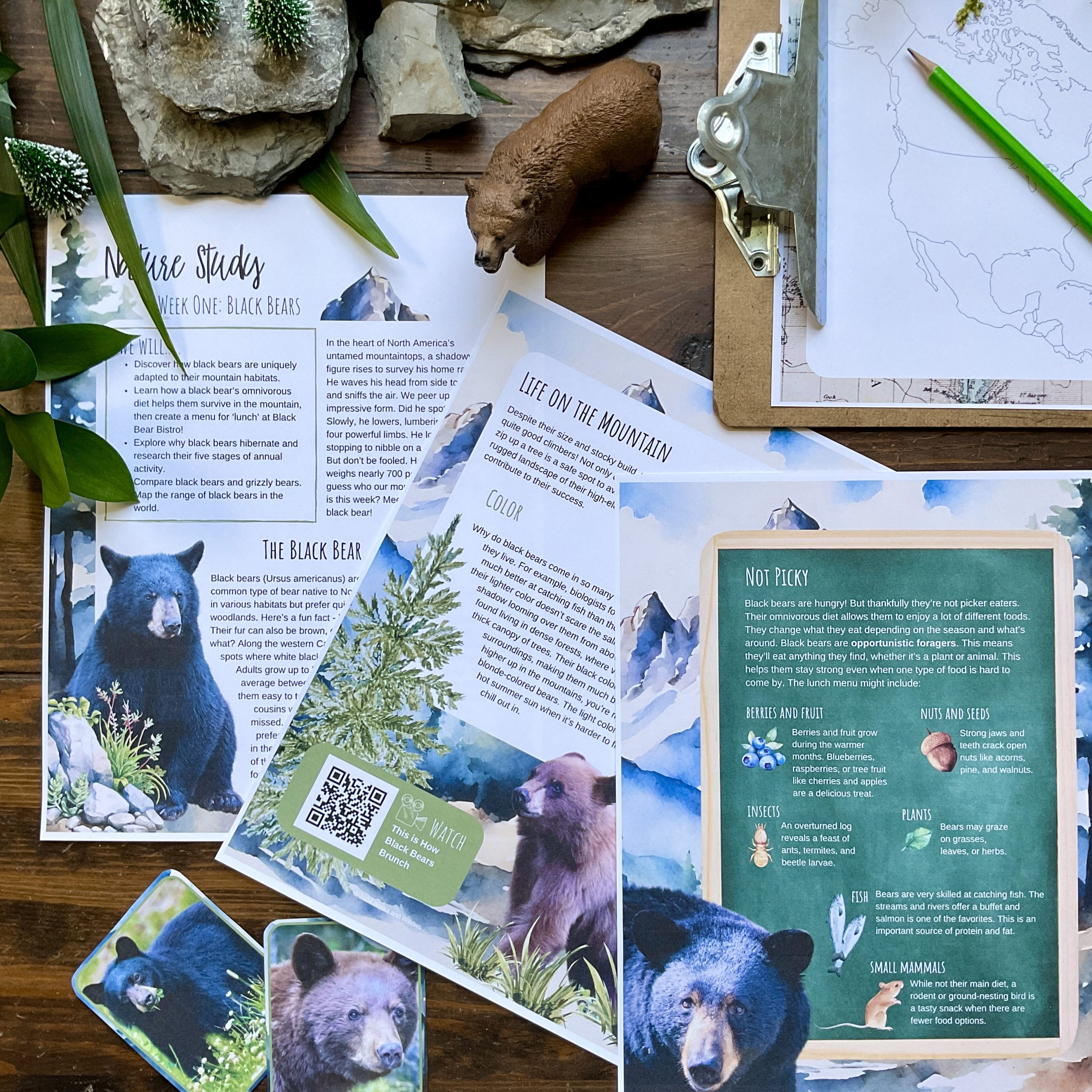 Mountain Animal Unit - Curious Trails Nature Study - Image 2