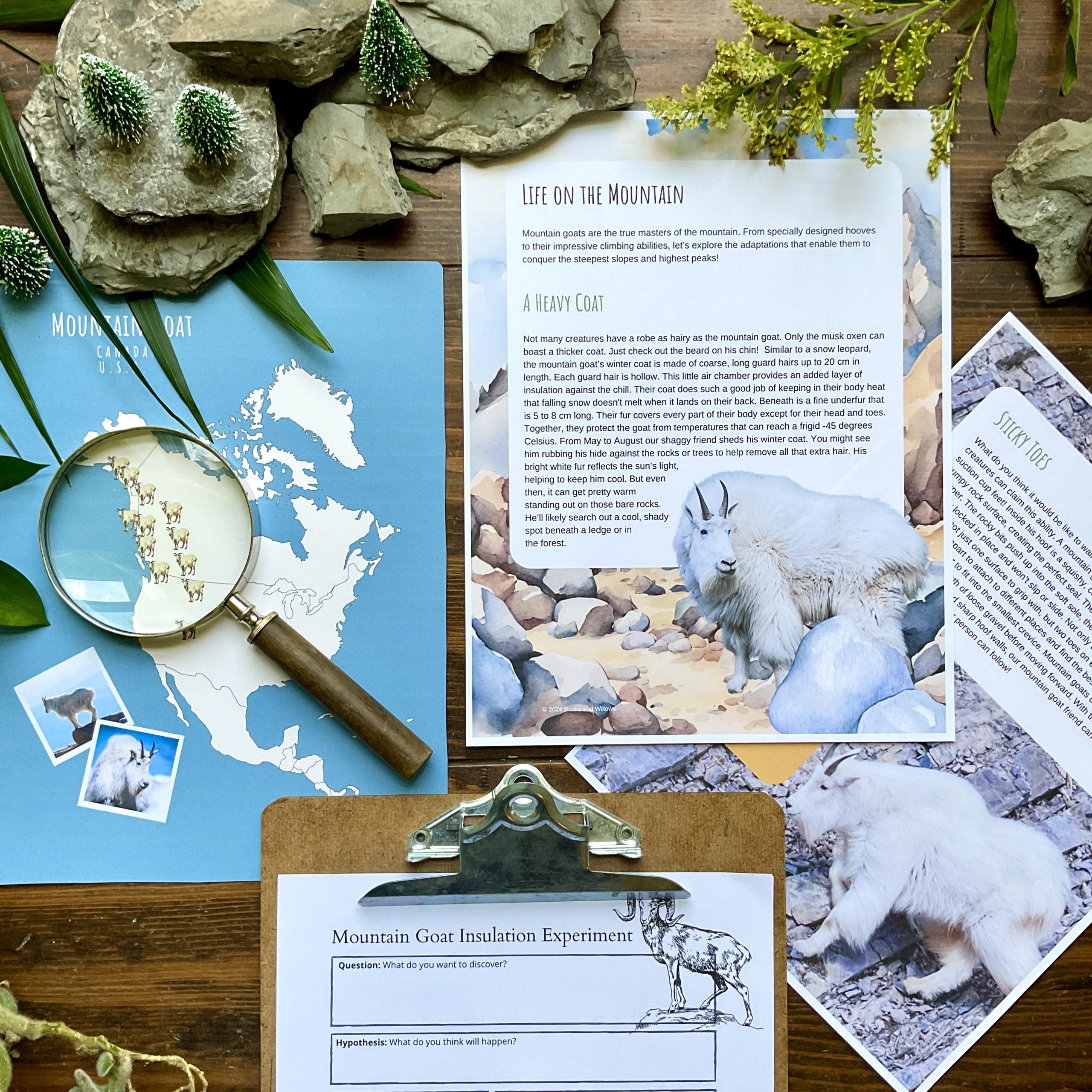 Mountain Animal Unit - Curious Trails Nature Study - Image 7