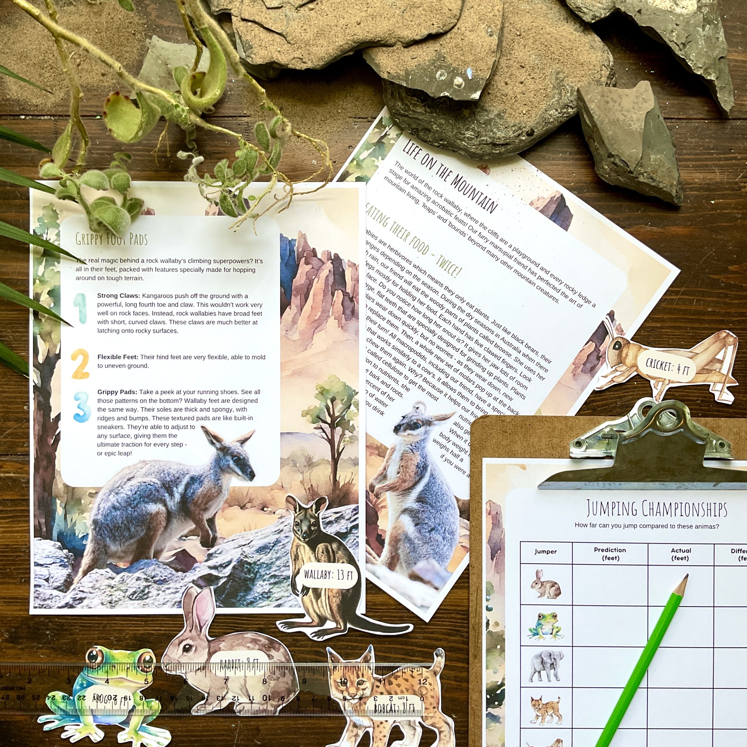 Mountain Animal Unit - Curious Trails Nature Study - Image 5