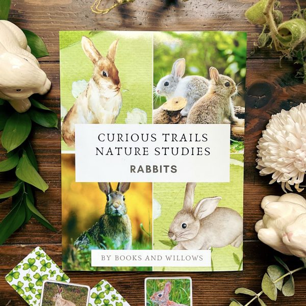 Rabbit Unit - Curious Trails Nature Study