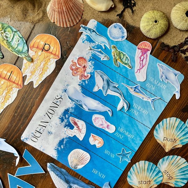 Ocean Early Learning Unit