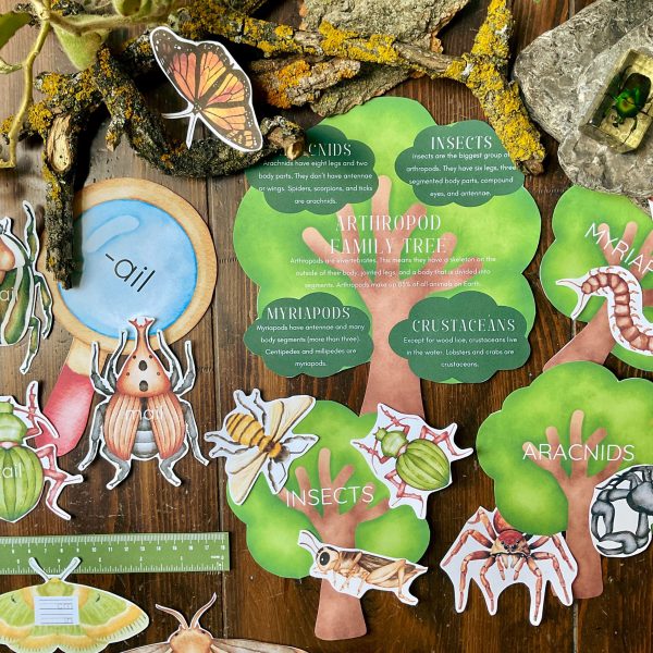Minibeast Early Learning Unit