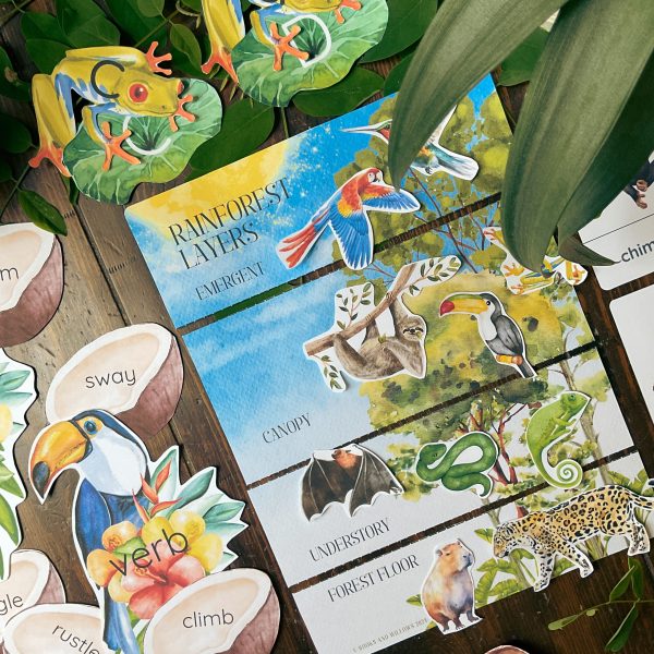 Rainforest Early Learning Unit