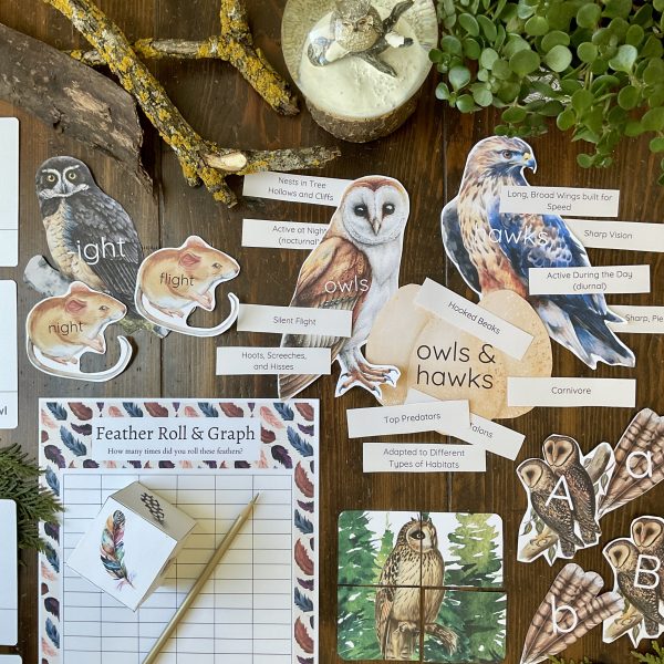 Owls Early Learning Unit