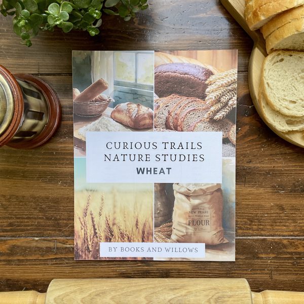 Wheat Curious Trails Nature Study
