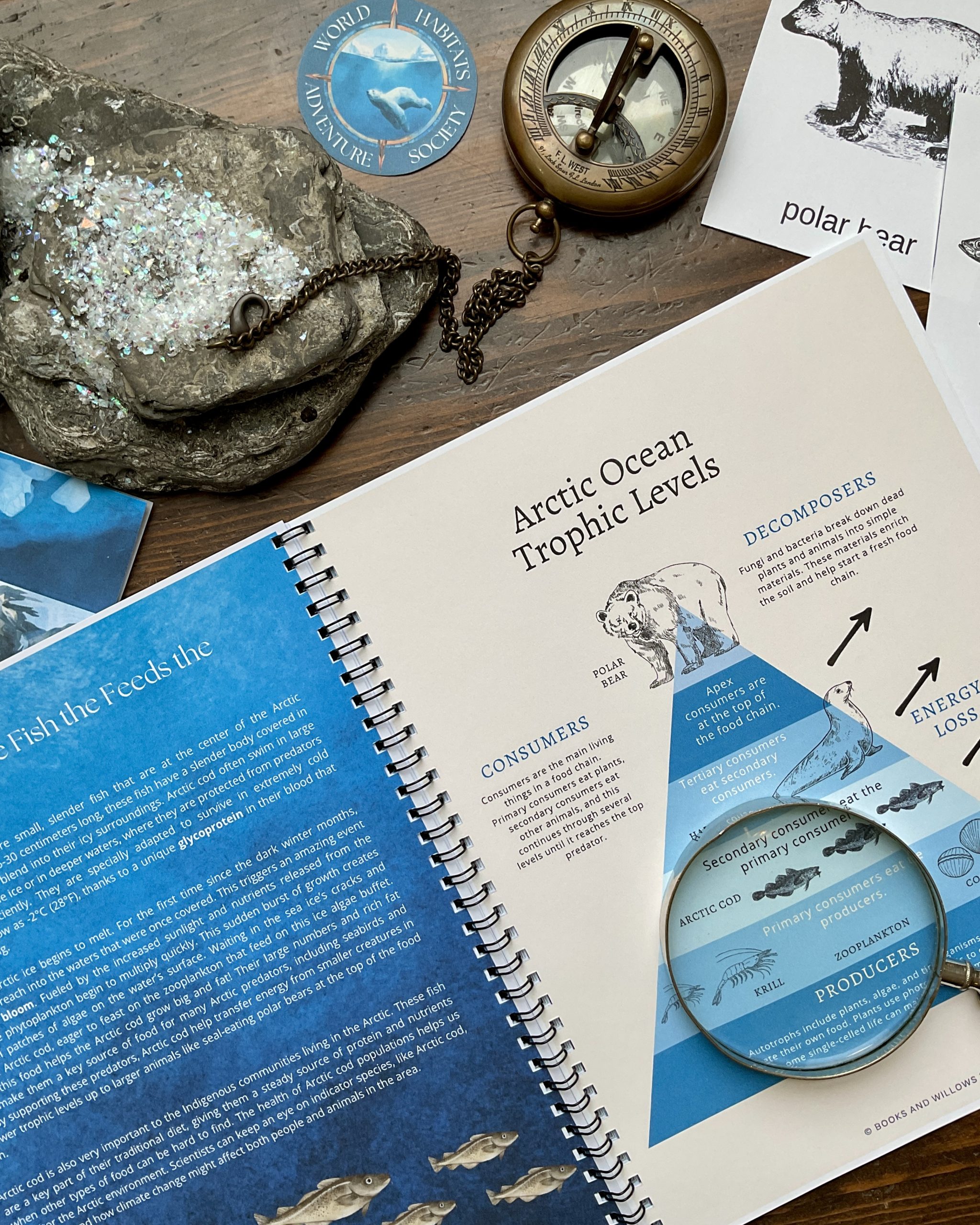 Arctic Ocean Unit - World Habitats Adventure Society - Image 7