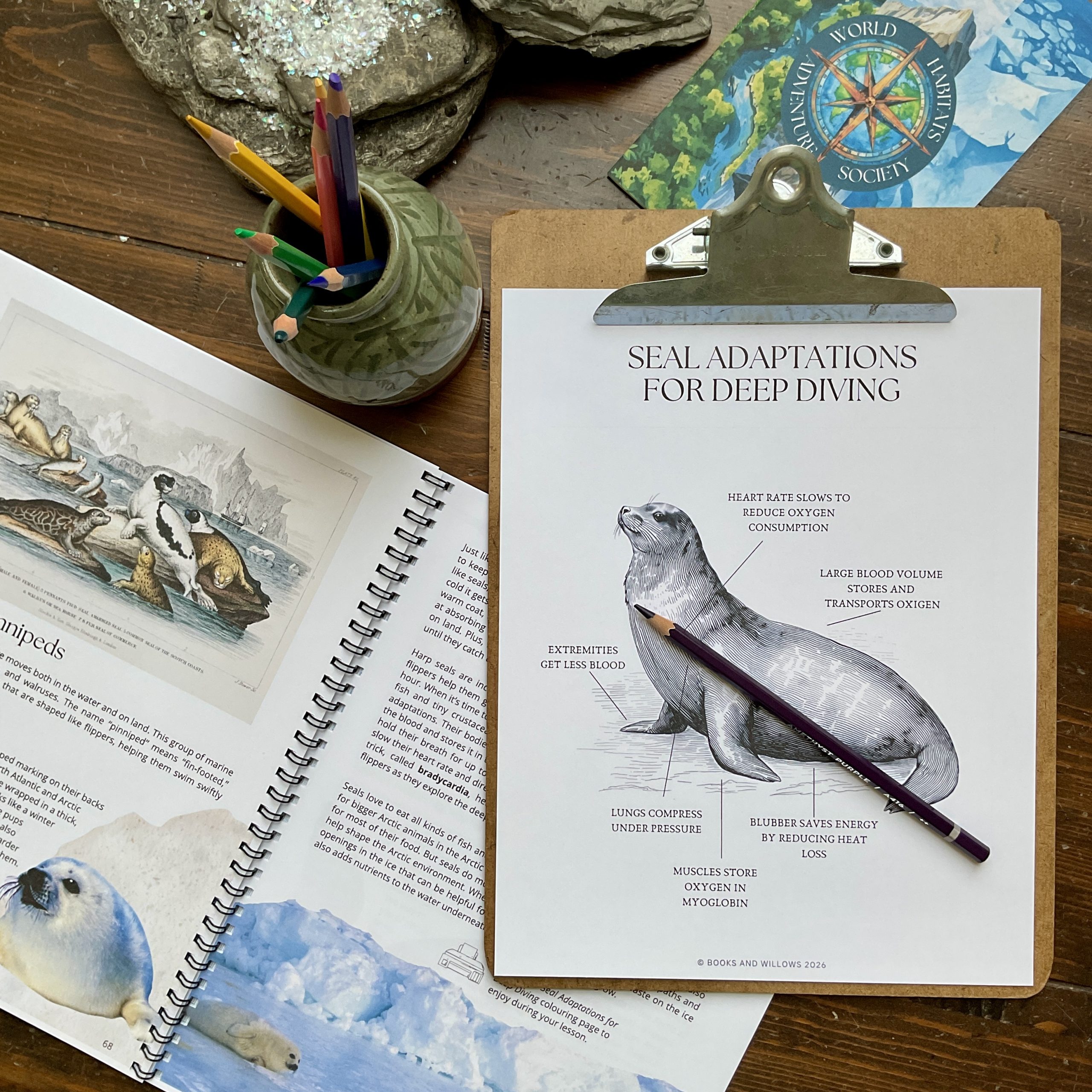 Arctic Ocean Unit - World Habitats Adventure Society - Image 10