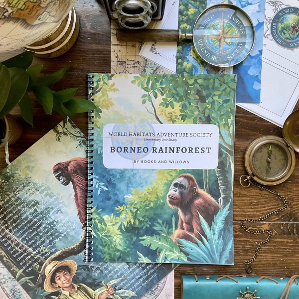 Borneo Rainforest Unit - World Habitats Adventure Society
