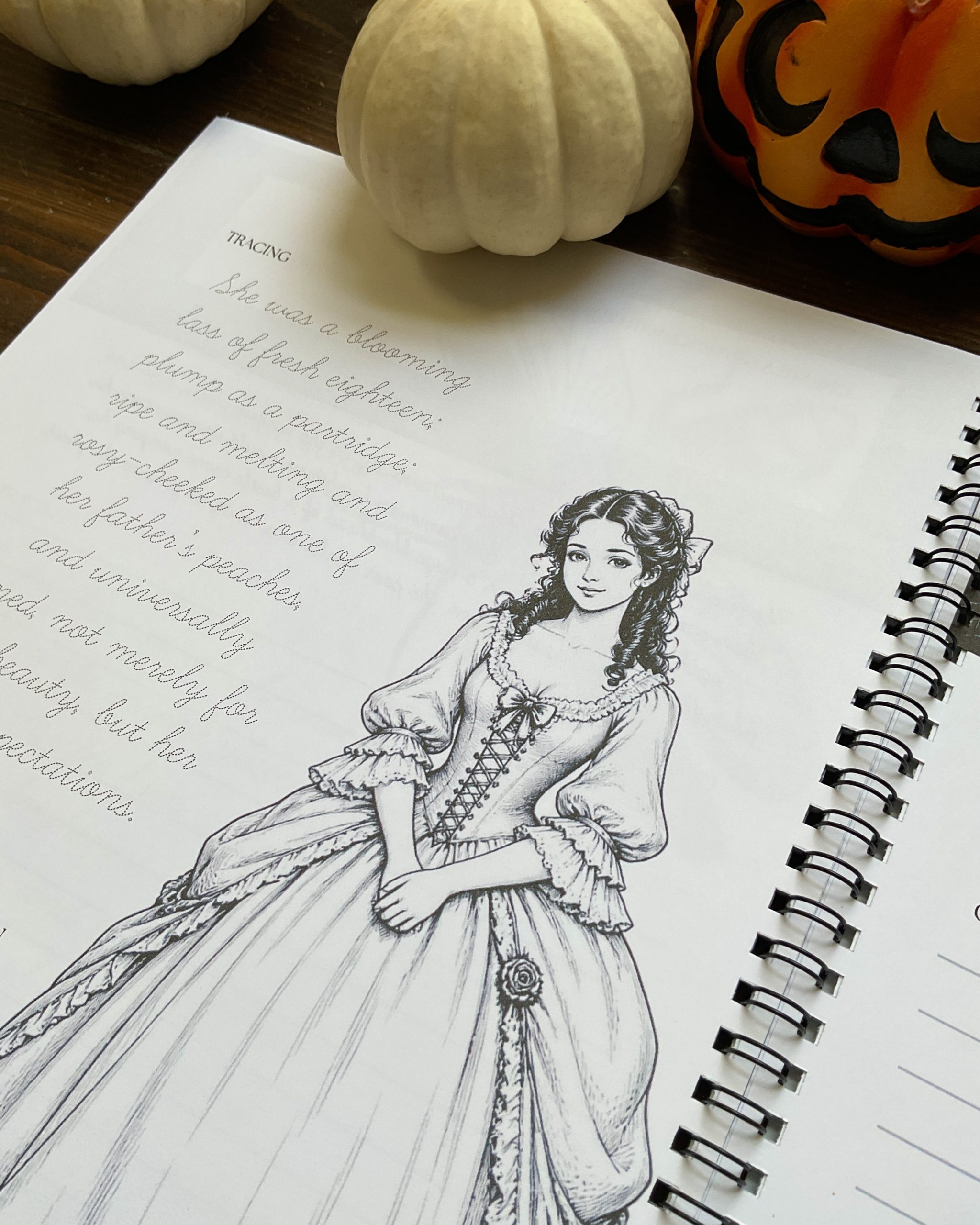 The Legend of Sleepy Hollow Cursive Copywork | Quill & Lines Handwriting - Image 6